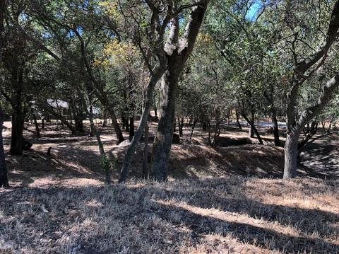 3890 Oak Tree Ln, Loomis, CA 95650 photo 5