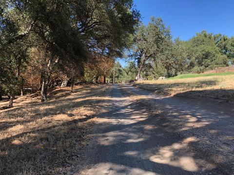 3890 Oak Tree Ln, Loomis, CA 95650 photo 6