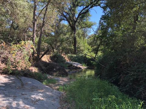 3890 Oak Tree Ln, Loomis, CA 95650 photo 4
