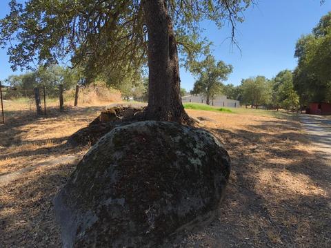 3890 Oak Tree Ln, Loomis, CA 95650 photo 7