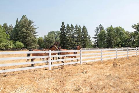 26300 County Road 97, Davis, CA 95616 photo 20