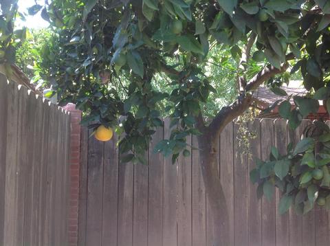 3709 Dix Ln, Modesto, CA 95356 photo 31