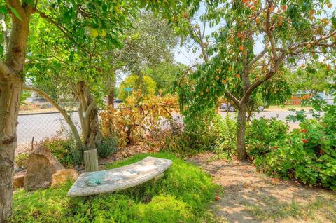 2310 Elm St, Sutter, CA 95982 photo 24