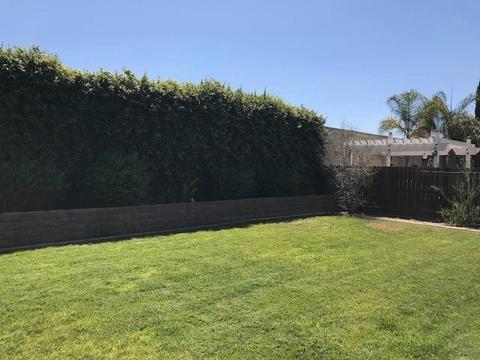 1339 Gianna Ln, Manteca, CA 95336 photo 14
