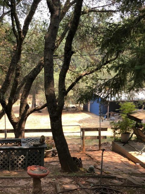 16934 Climax Rd, Jackson, CA 95642 photo 25