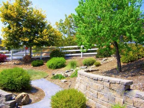1052 Shoreline Dr, Copperopolis, CA 95228 photo 30