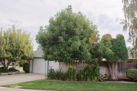 2320 Cheyenne Way, Modesto, CA 95356 photo 4