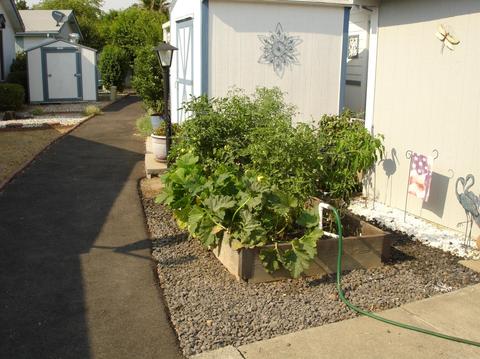 81 Broken Cir, Davis, CA 95618 photo 12