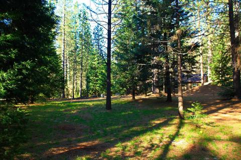 34457 E Towle Rd, Alta, CA 95701 photo 28