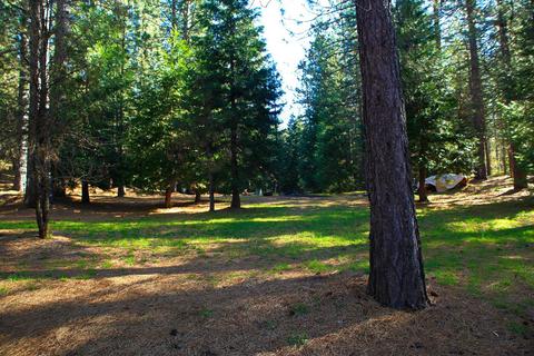 34457 E Towle Rd, Alta, CA 95701 photo 29