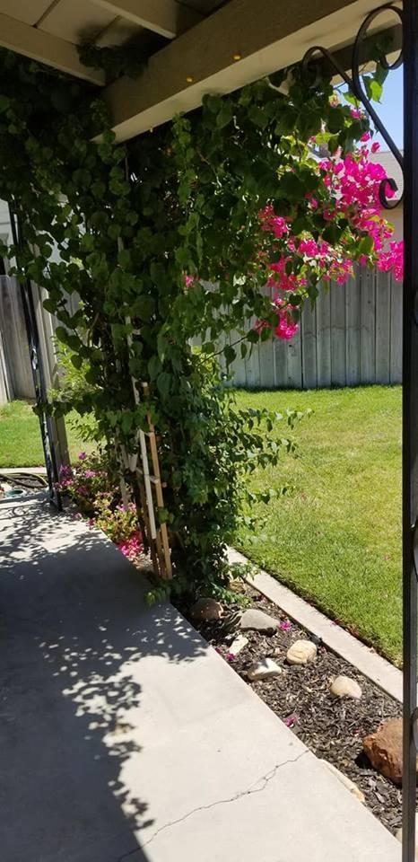 504 Curry Ct, Manteca, CA 95337 photo 32