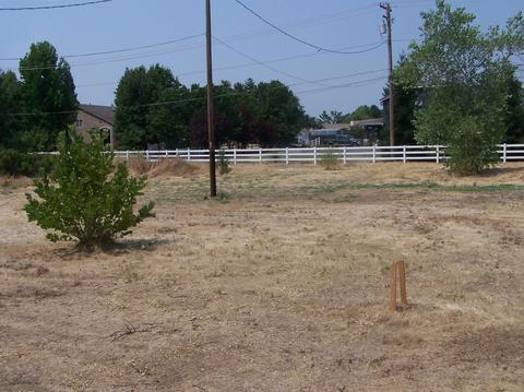5520 Rapp Ln, Antelope, CA 95843 photo 12