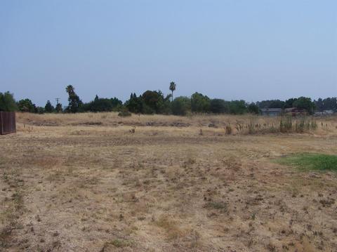 5520 Rapp Ln, Antelope, CA 95843 photo 11