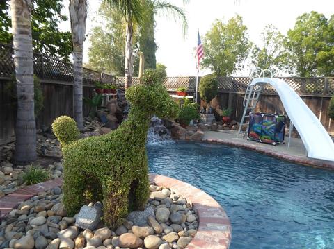1593 Liverpool Ct, Manteca, CA 95336 photo 21