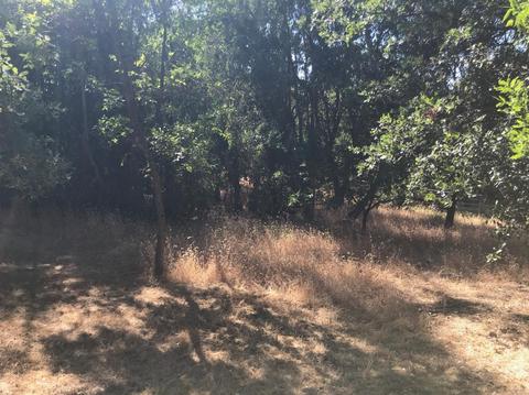 9751 Magellan Dr, Loomis, CA 95650 photo 31