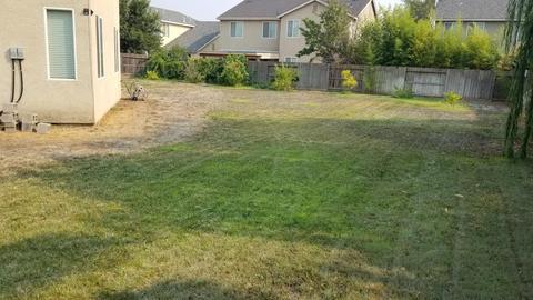 5425 Verbena, Keyes, CA 95328 photo 29