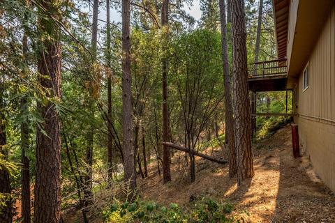 3169 Ridge Ct, Placerville, CA 95667 photo 30