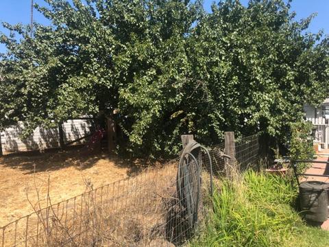 213 Orchard Ave, Modesto, CA 95354 photo 7