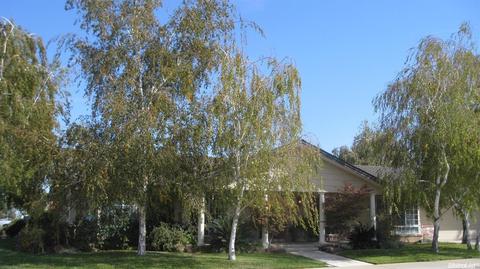 900 Kramer, Lodi, CA 95242 photo 1