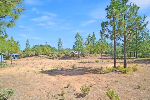 16990 Dapple Ct, Pine Grove, CA 95665 photo 11