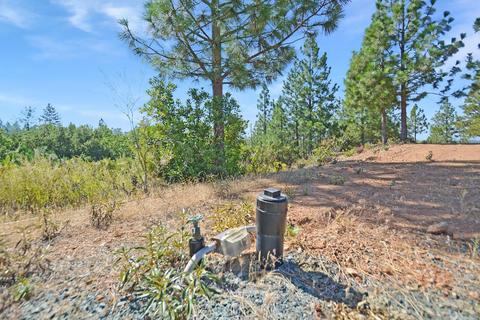 16990 Dapple Ct, Pine Grove, CA 95665 photo 20