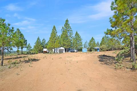 16990 Dapple Ct, Pine Grove, CA 95665 photo 10