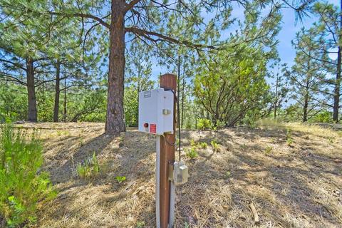 16990 Dapple Ct, Pine Grove, CA 95665 photo 19