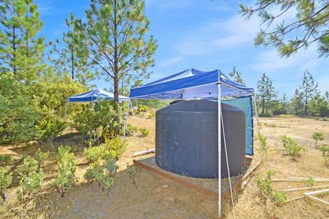 16990 Dapple Ct, Pine Grove, CA 95665 photo 15