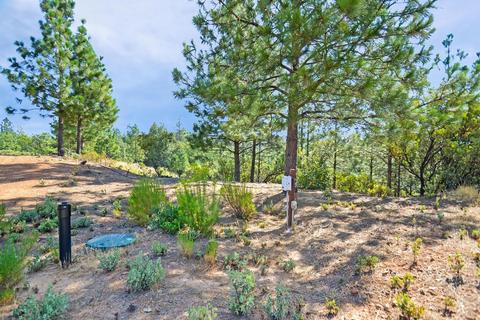 16990 Dapple Ct, Pine Grove, CA 95665 photo 18