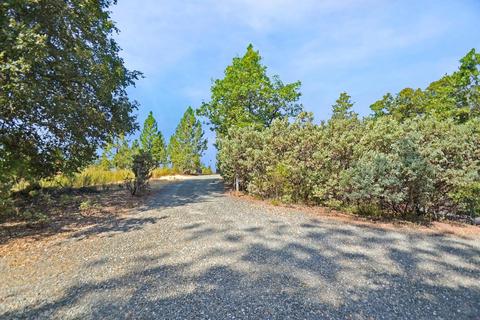 16990 Dapple Ct, Pine Grove, CA 95665 photo 22