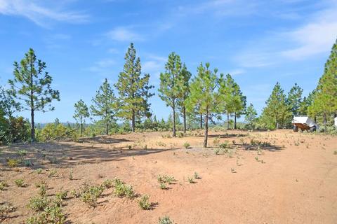16990 Dapple Ct, Pine Grove, CA 95665 photo 9