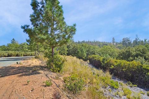 16990 Dapple Ct, Pine Grove, CA 95665 photo 16
