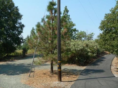 16990 Dapple Ct, Pine Grove, CA 95665 photo 21