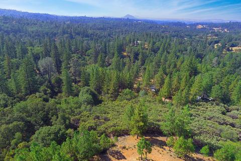 16990 Dapple Ct, Pine Grove, CA 95665 photo 7