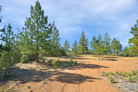 16990 Dapple Ct, Pine Grove, CA 95665 photo 8