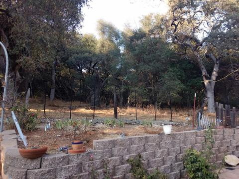 2926 Royce Dr, Rescue, CA 95672 photo 20