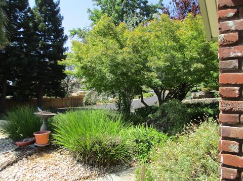 2926 Royce Dr, Rescue, CA 95672 photo 27