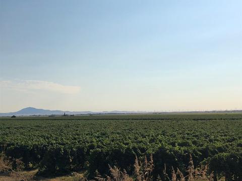 694 W Tyler Island Bridge Rd, Isleton, CA 95641 photo 2