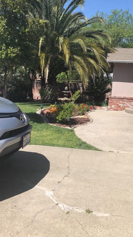 6440 Miles Ln, Carmichael, CA 95608 photo 3