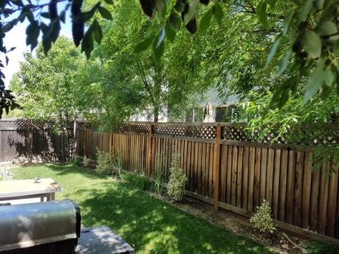 803 Equinox Loop, Lincoln, CA 95648 photo 15