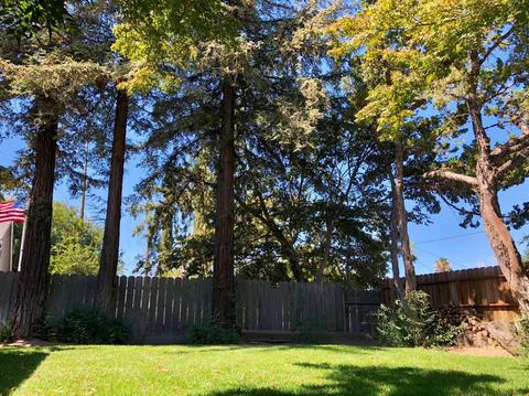 597 Manor Oak Pl, Manteca, CA 95336 photo 4