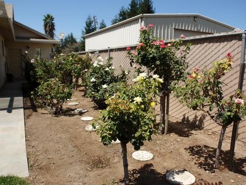 148 Weyer Rd, Modesto, CA 95357 photo 30