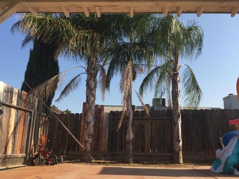 3916 Brando Dr, Ceres, CA 95307 photo 5