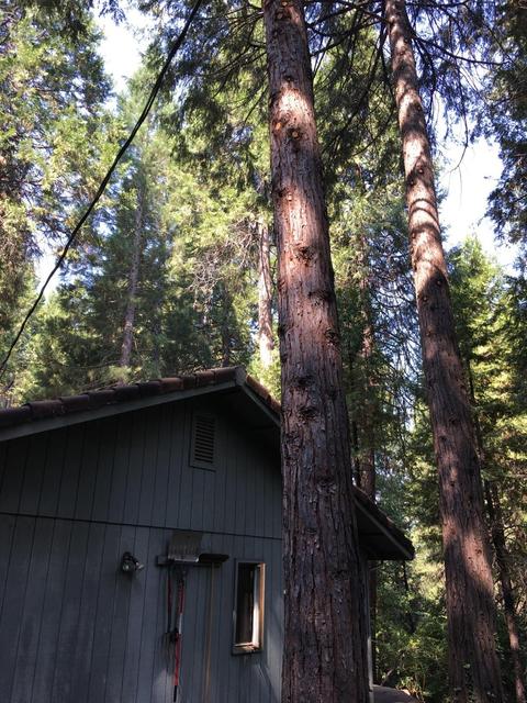 19101 W Allan Rd, Volcano, CA 95689 photo 13