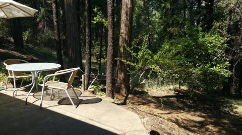 19101 W Allan Rd, Volcano, CA 95689 photo 6