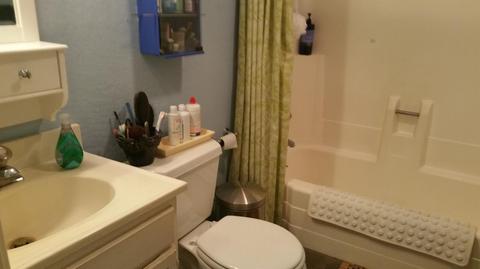 19101 W Allan Rd, Volcano, CA 95689 photo 4