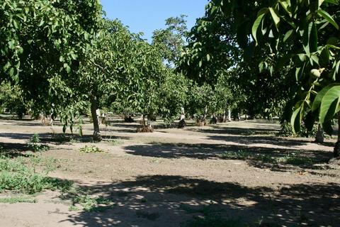 4901 Morrow, Modesto, CA 95356 photo 4