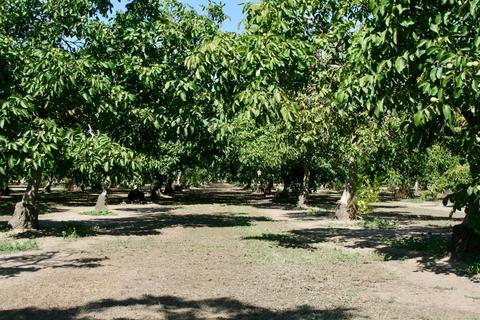 4901 Morrow, Modesto, CA 95356 photo 2