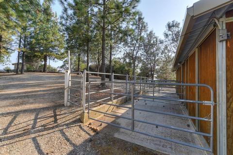 14633 Shake Ridge Rd, Sutter Creek, CA 95685 photo 33