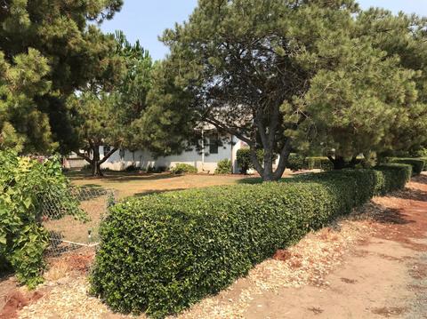 Undisclosed, Lodi, CA 95240 photo 3
